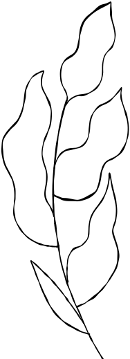 Laurel icon symbolizing brand growth, reward, and measurable results.