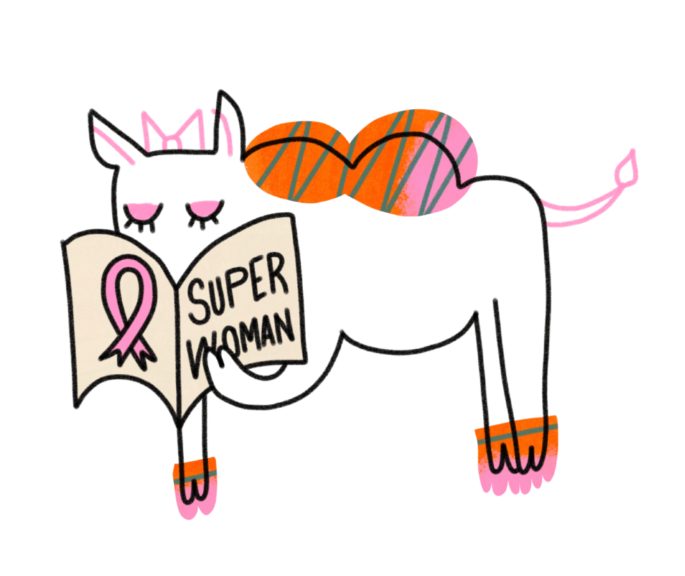 Abraso’s camel character reading a Super Woman book, illustrated by Fru Pinter.