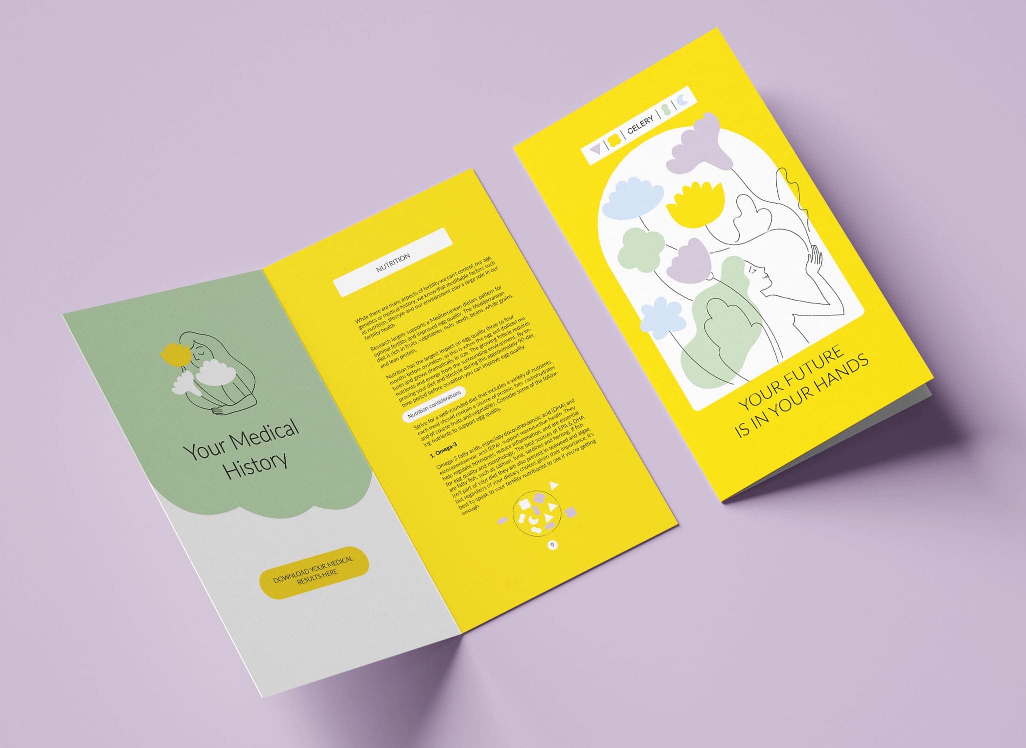 Information brochure for Celery Health featuring illustration and typography designed by The Aha Moment.